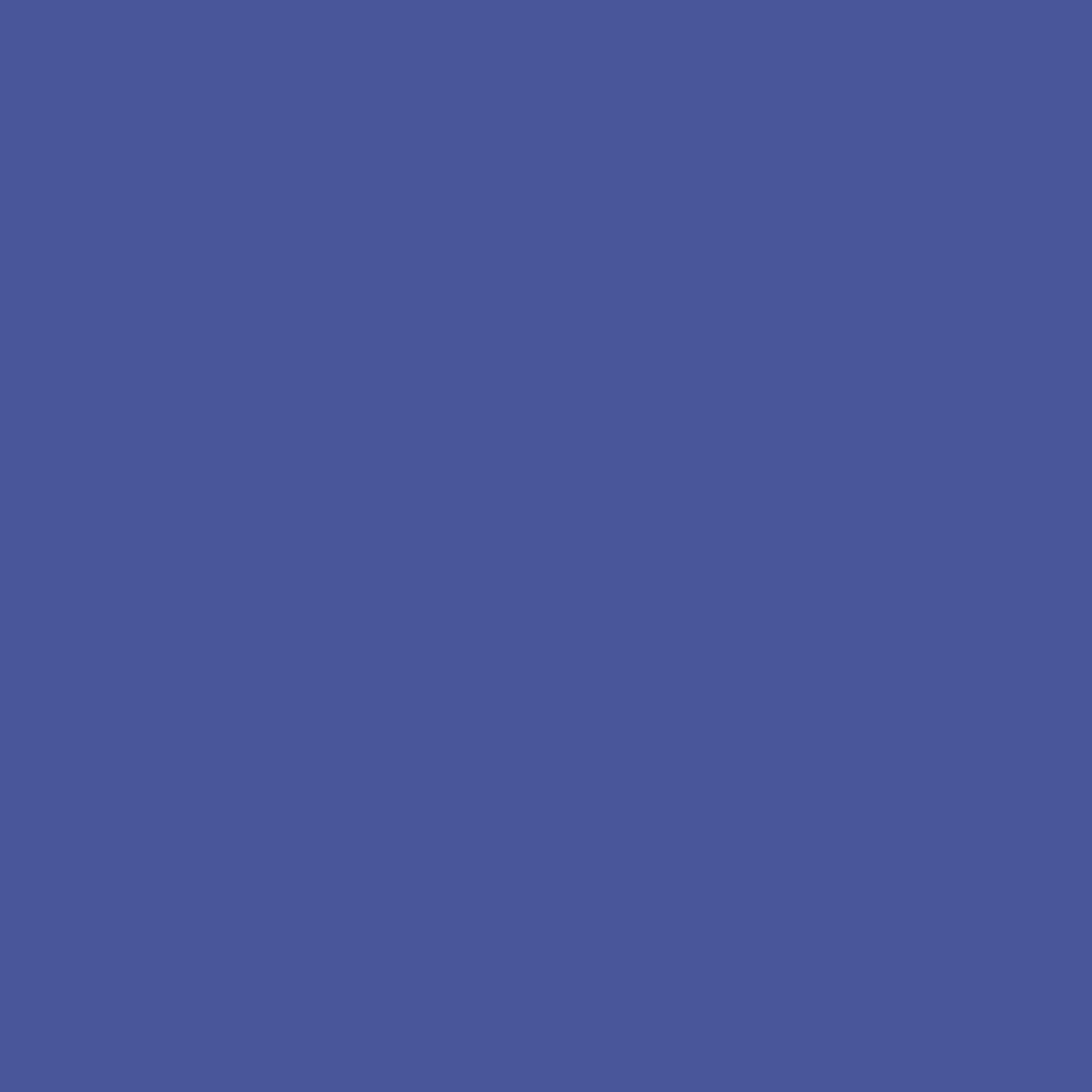 STETHOSCOPE, SPRAGUE RAPPAPORT NAVY 22"